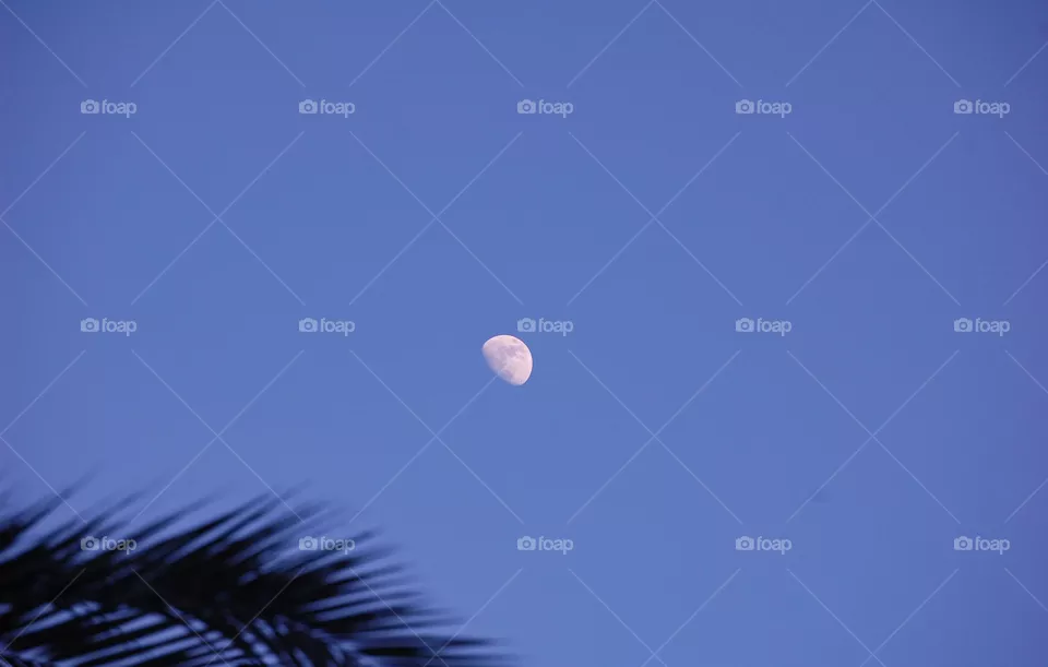 Moon during sunset