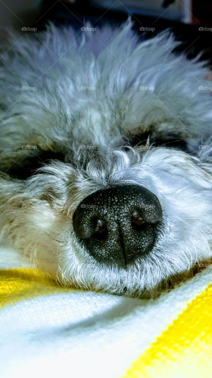 it's raining. it's pouring....