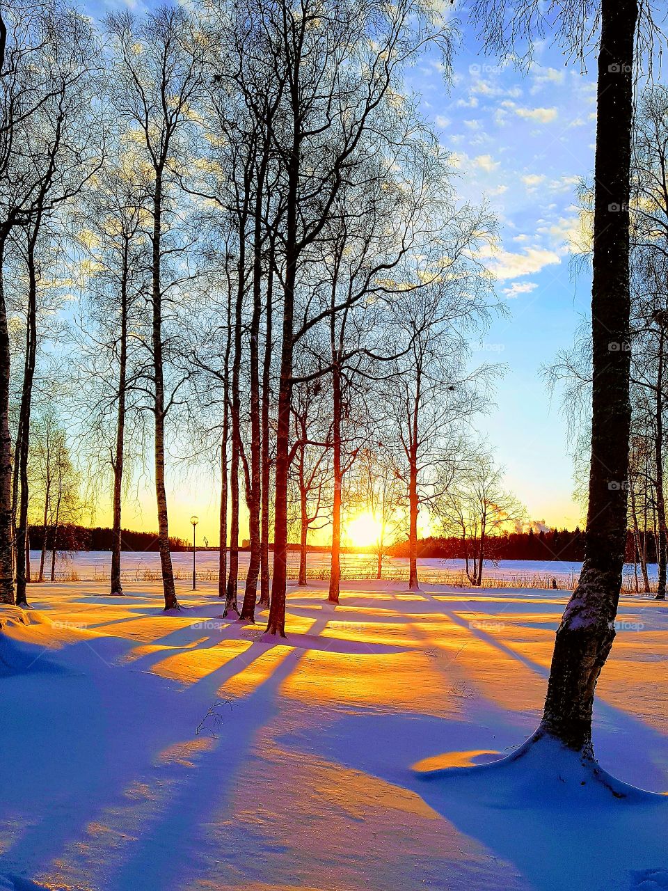 reflection in the snow