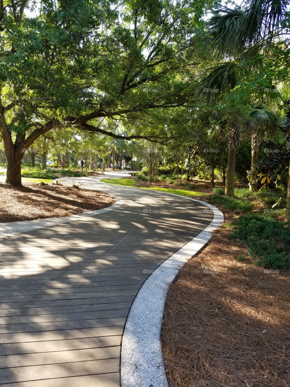 Path to Coligny Park