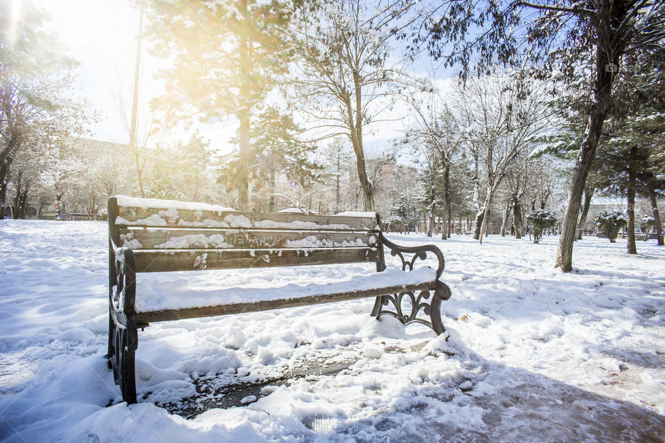 Snow on the bench