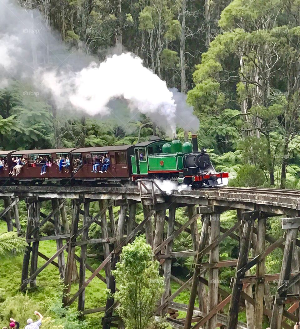 Old Puffing Billy steam train 