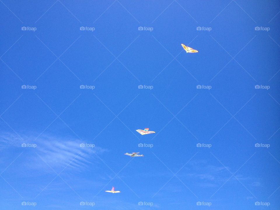 Kites in the blue skies
