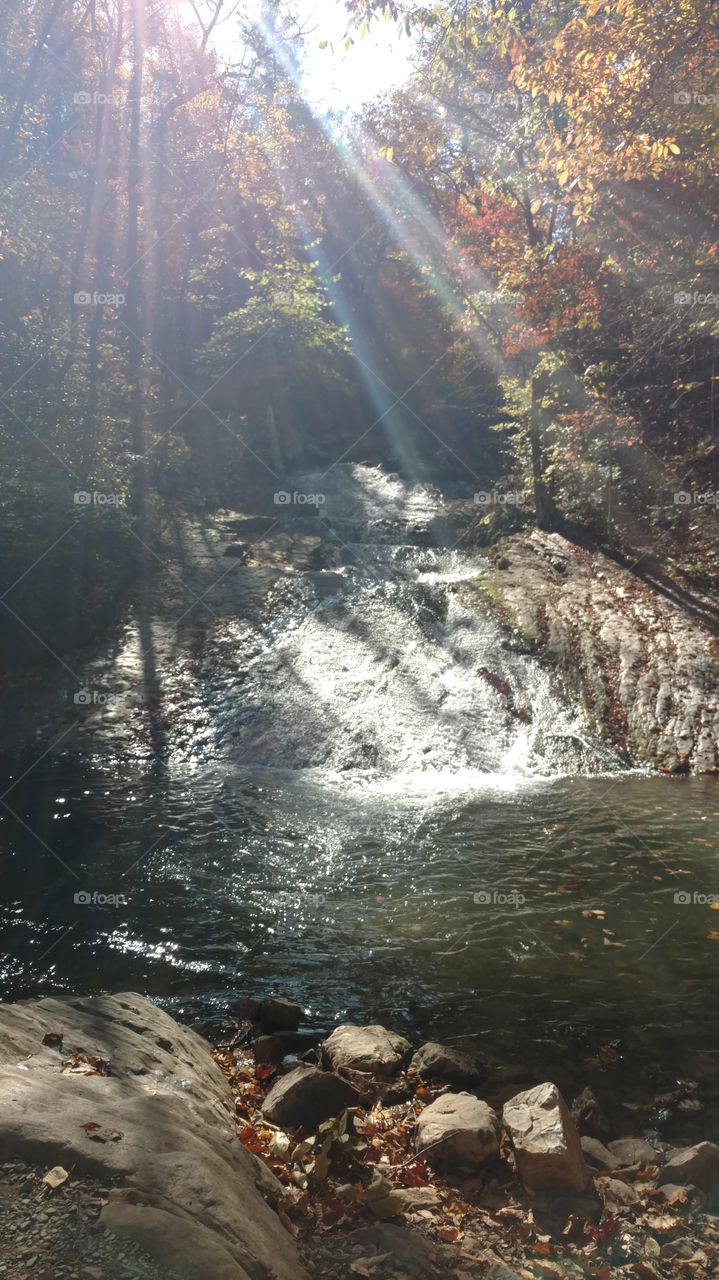 Roaring Run