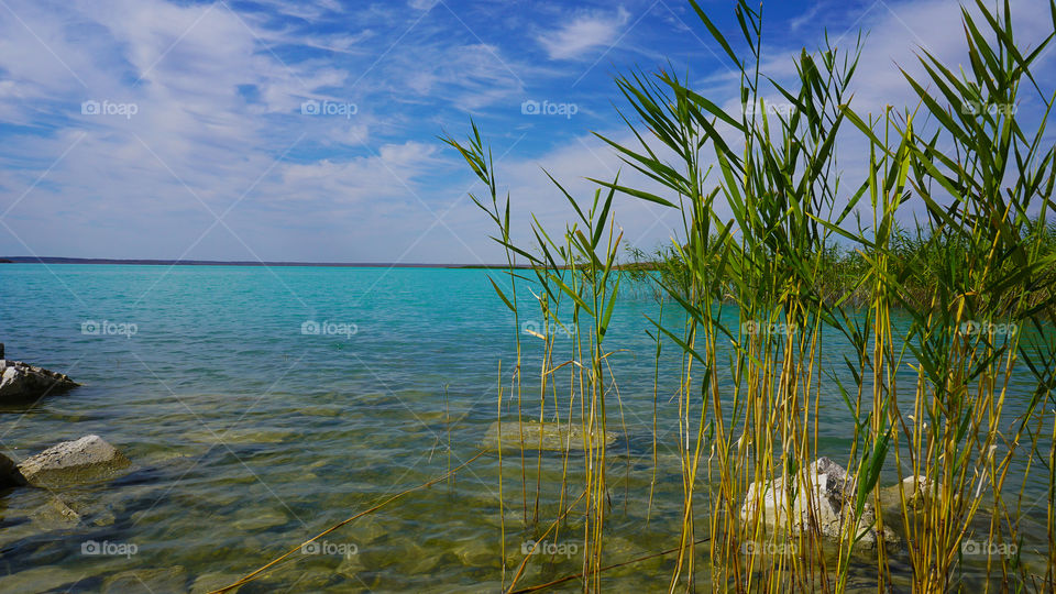 Kazakhstan. Lake Backlash