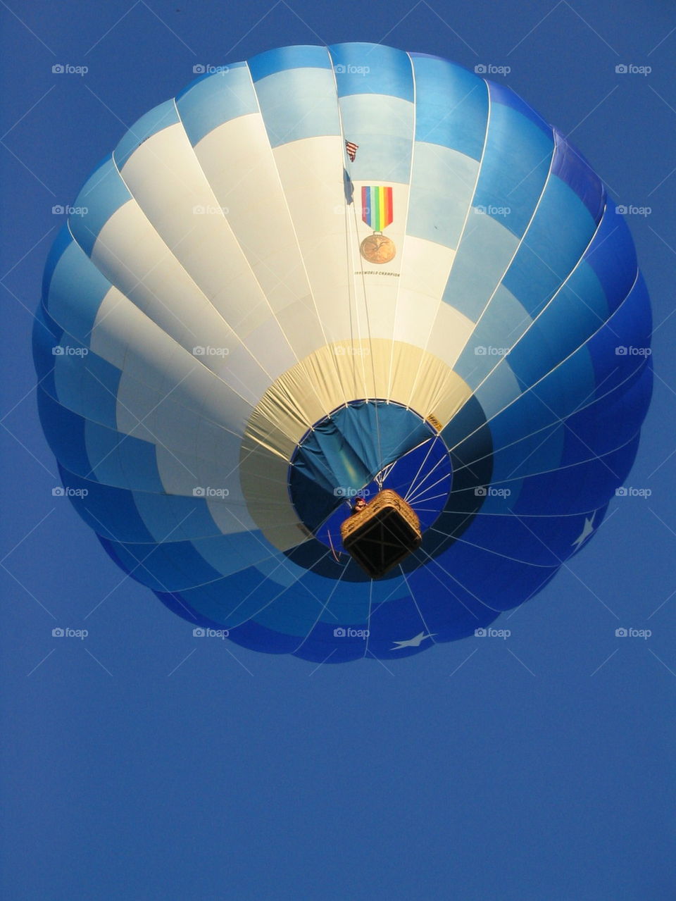 hot air balloon