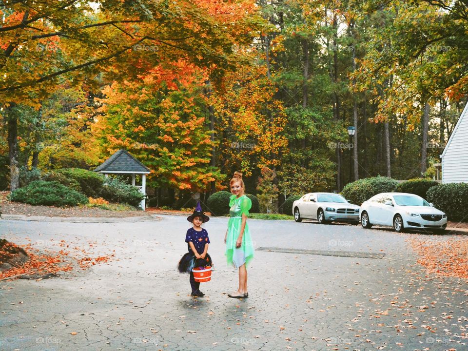 Fall, People, Tree, Road, Leaf