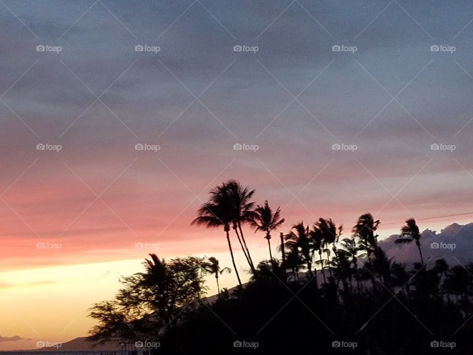 Maui sunset