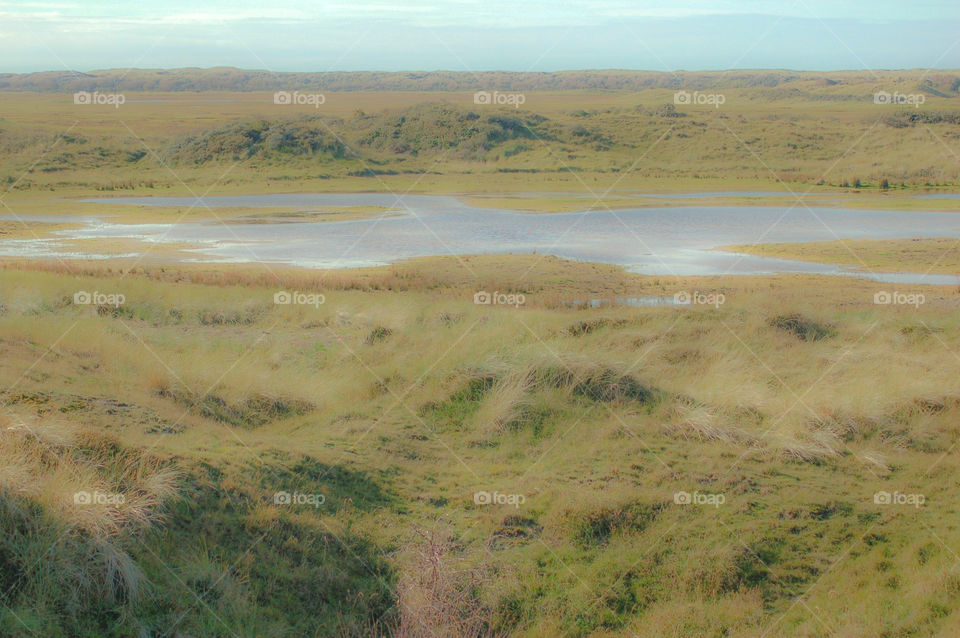 Hazy Texel Landscape At The Netherlands