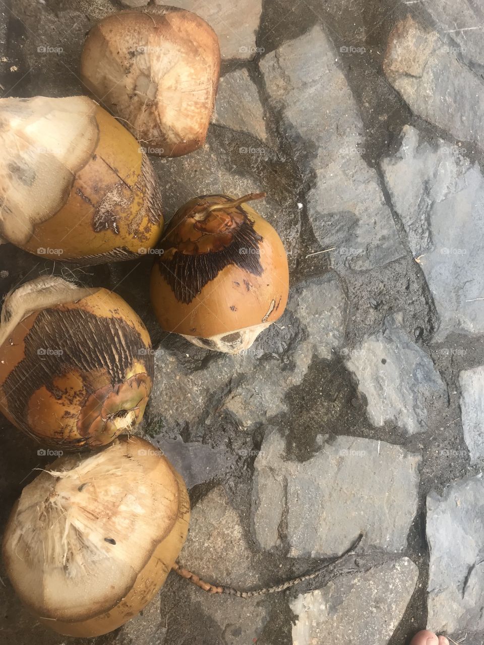 Coconuts freshly prepared for drinking and cooking