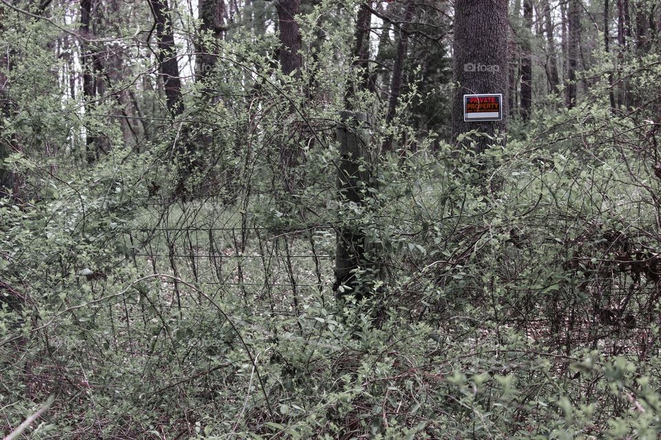 Private property sing in forest along fence