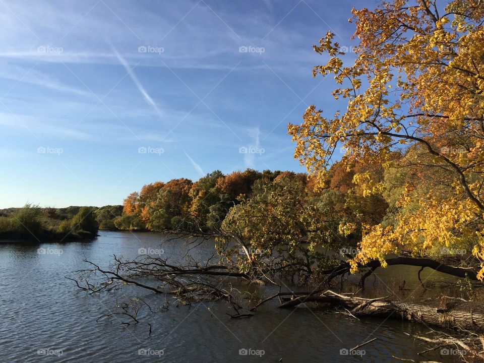 Autumn is a golden time.