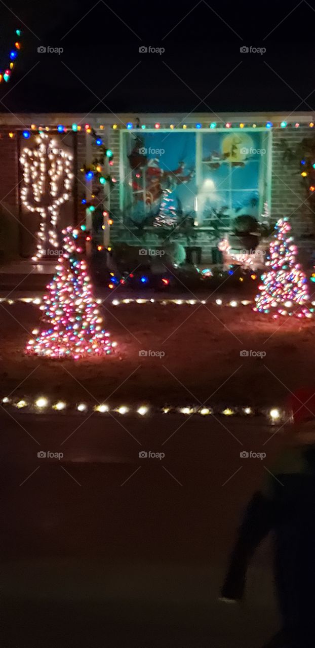 Christmas lights with trees and sled & reindeer