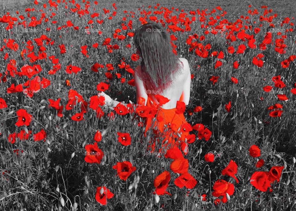 Woman in  red dress in a field of poppies