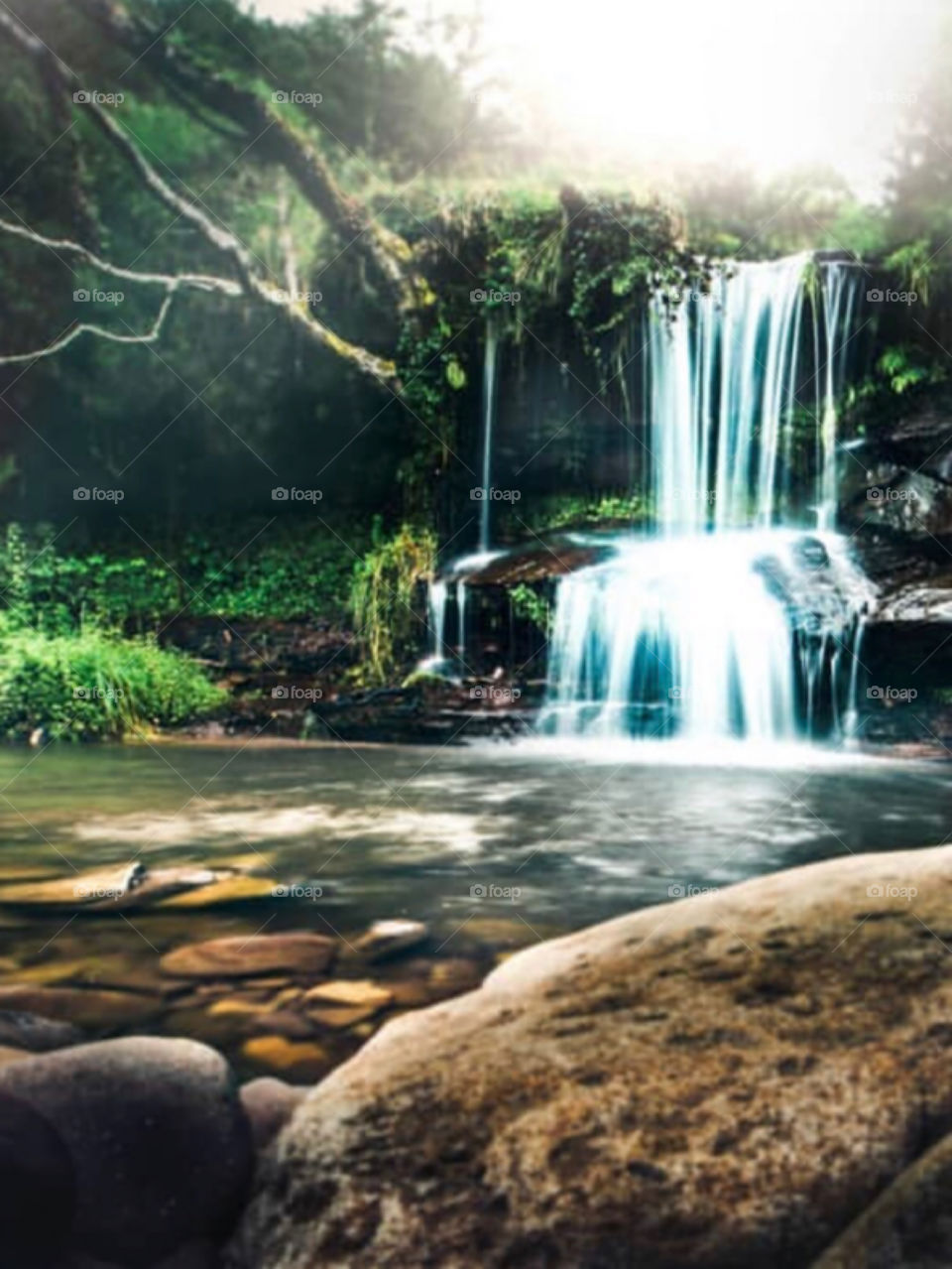 Beautiful waterfalls inside the Jungle 