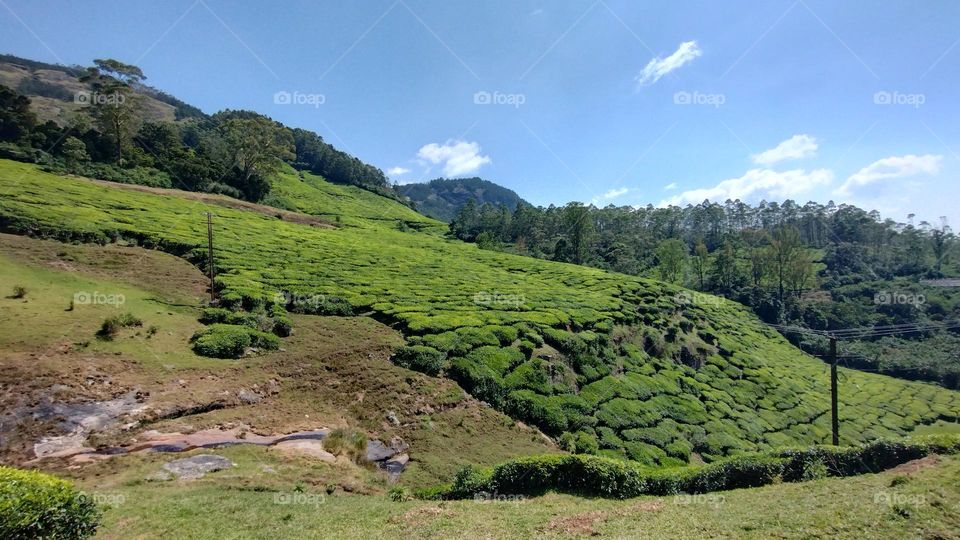 Adopt the pace of nature