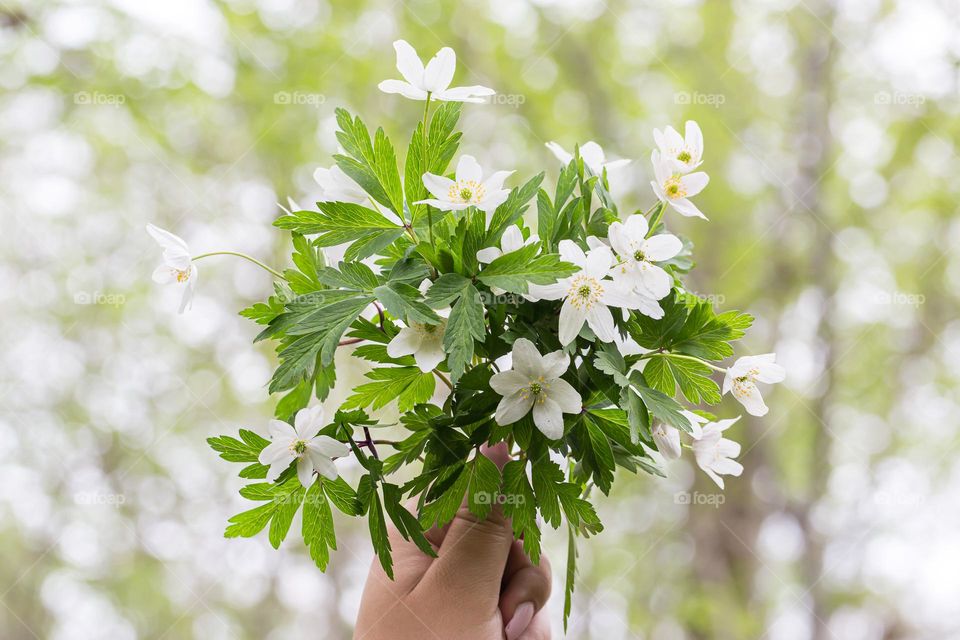 Holding a white anemone flower bouquet up against the forest and the sky 