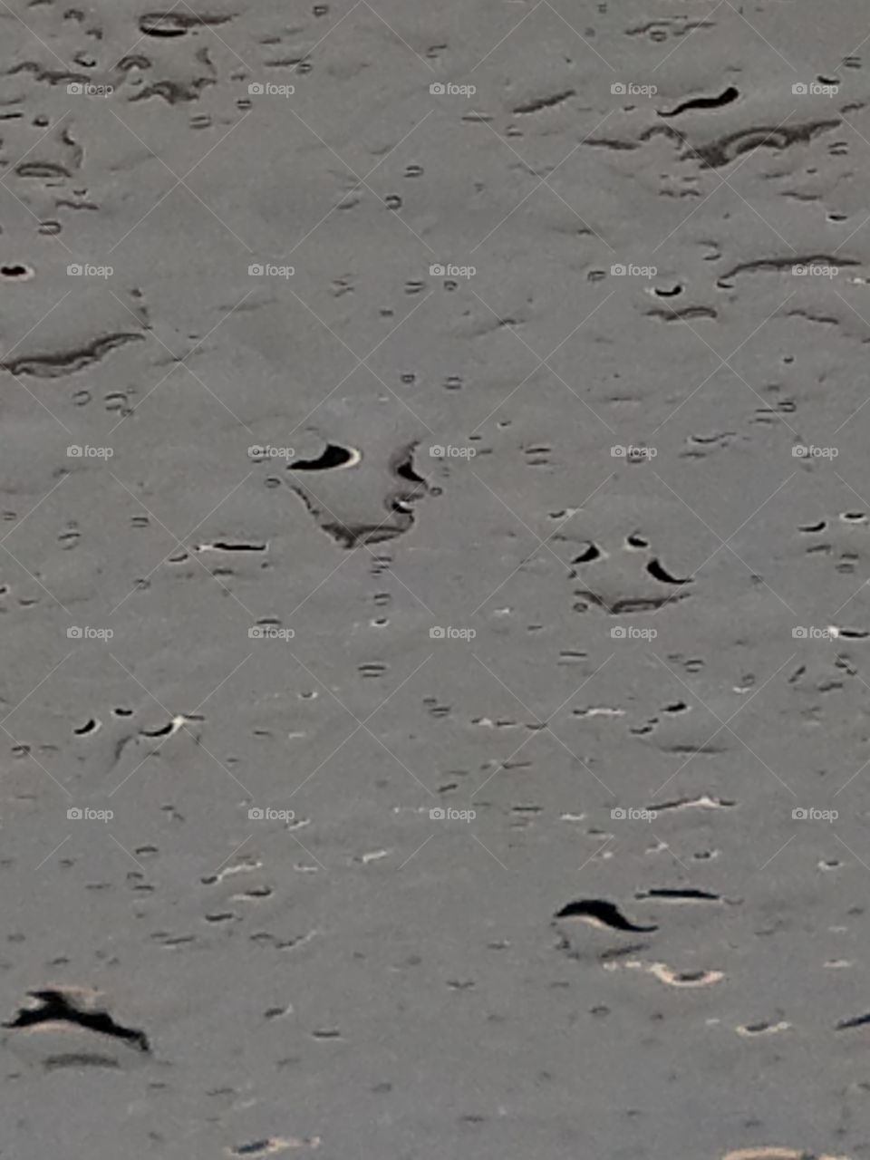 Raindrops on the Windshield