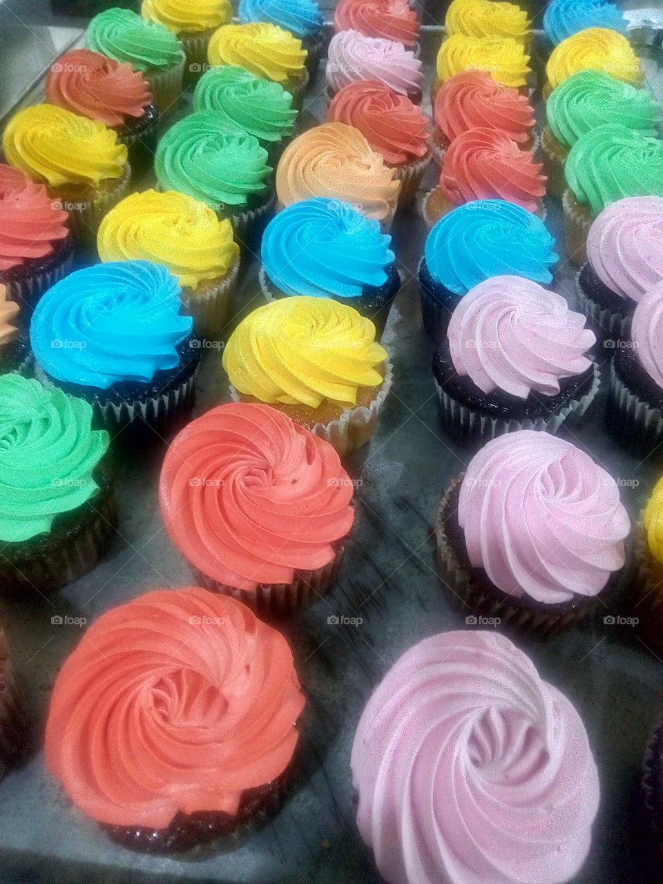 Colorful Chocolate/Vanilla Cupcakes...