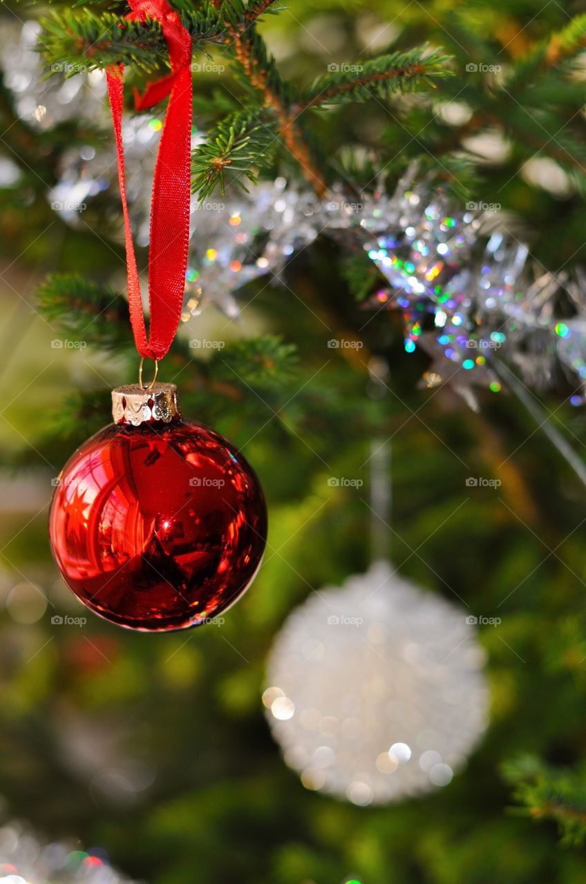 Close-up of a christmas tree
