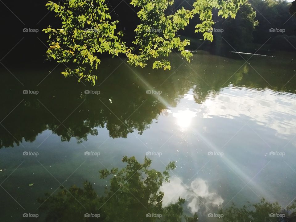 Glassy surface of the water.