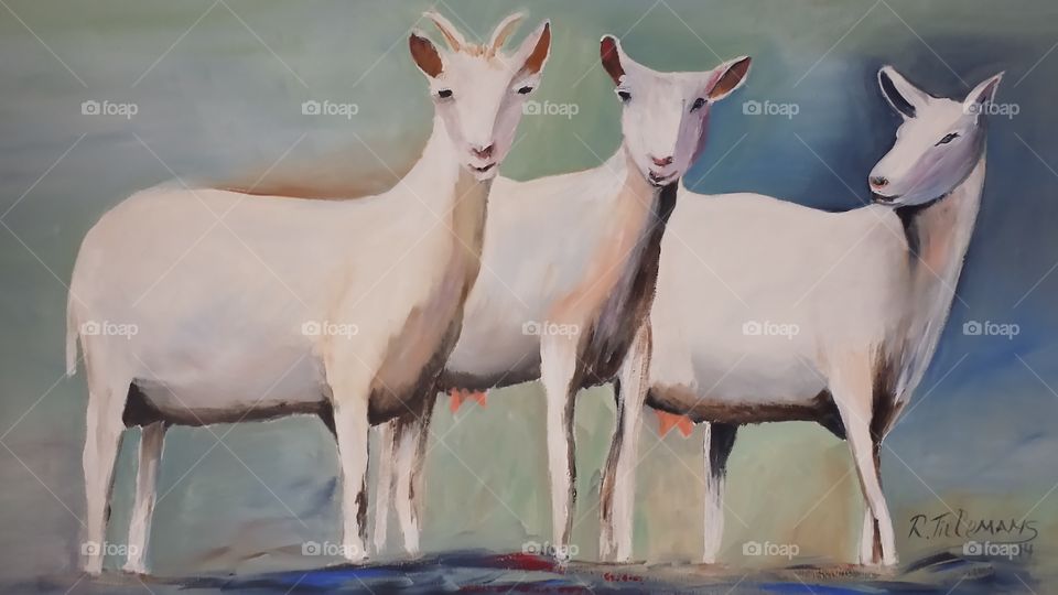 Goats. Paintig made by Rita Tielemans