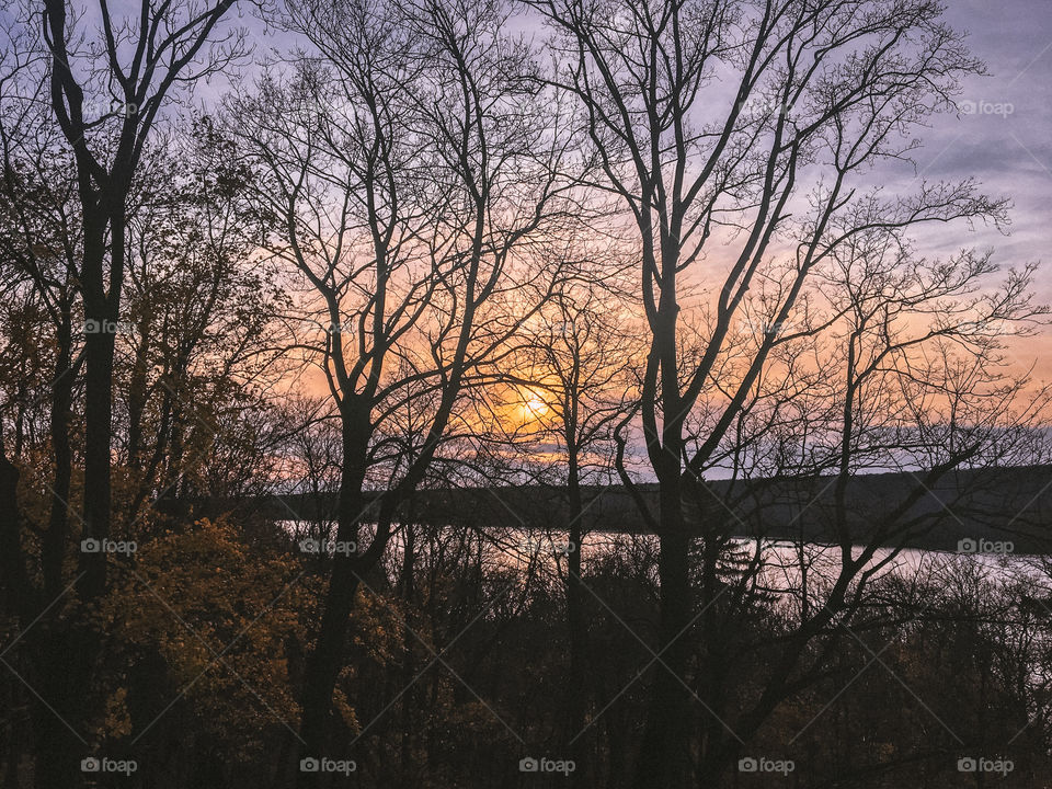 Behind the tree’s sunset