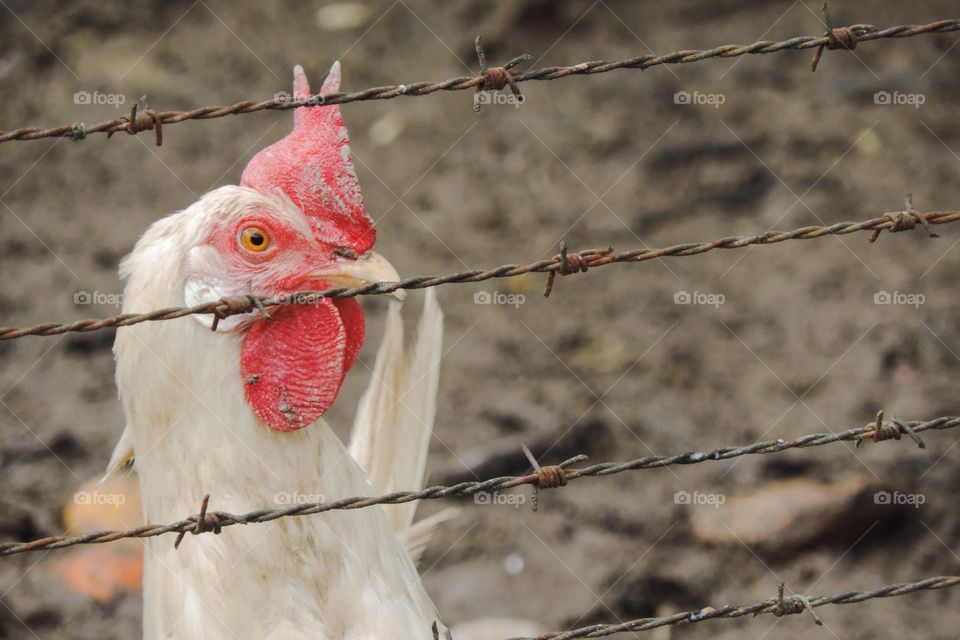 The dirt shows thebsize of your curiosity and happiness.