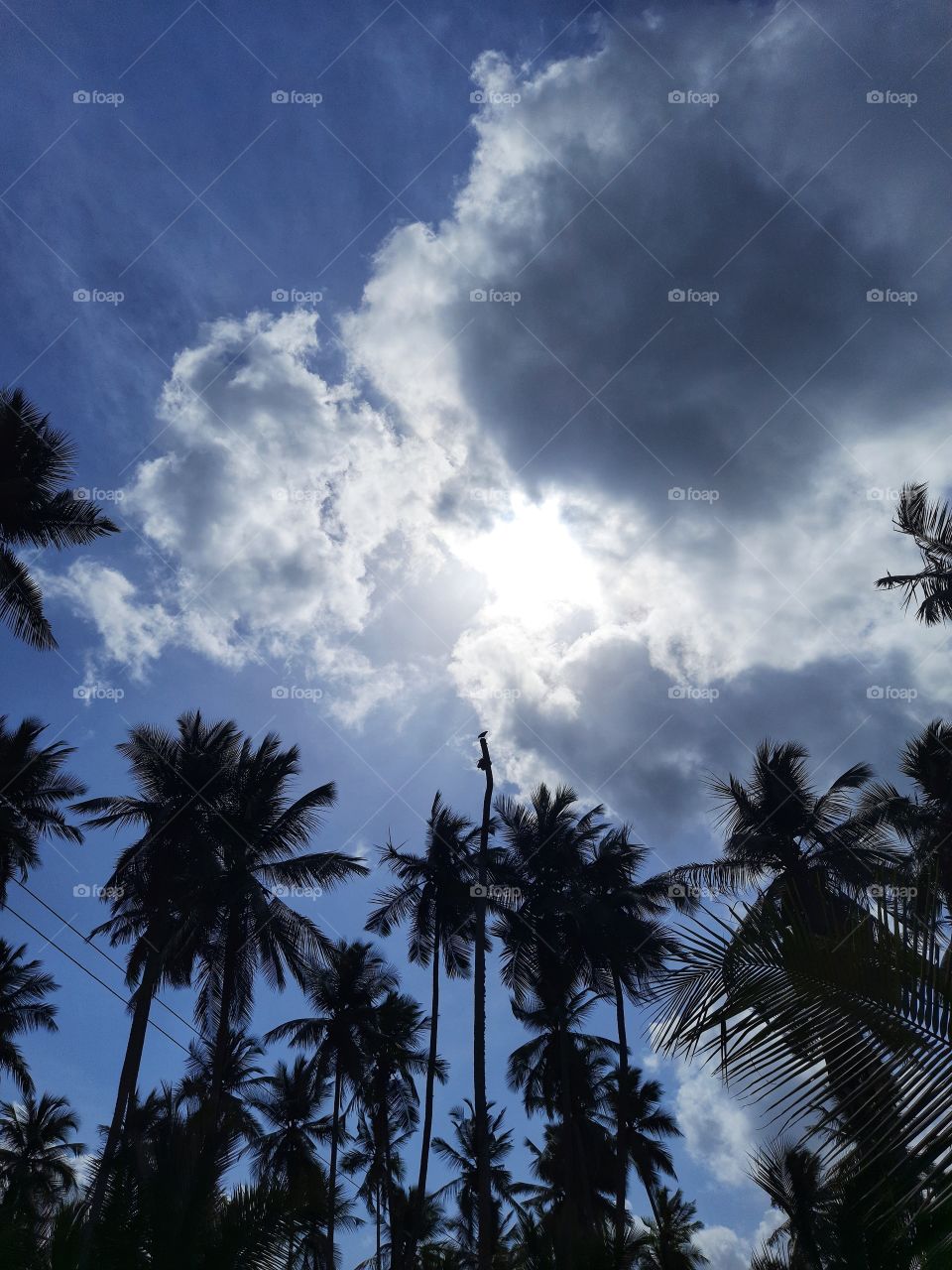 Beautiful Nature weather