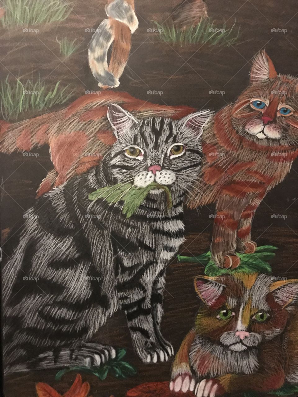 Cat color pencil artwork drawing  