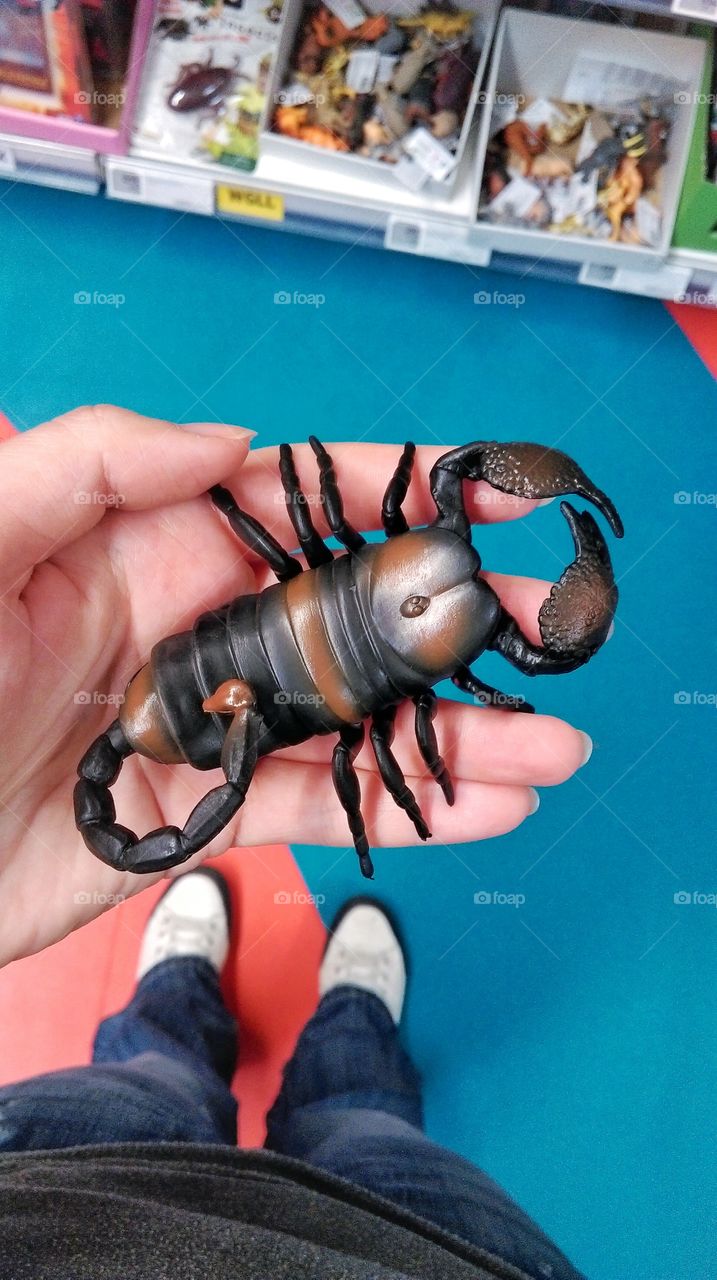 Plastic scorpion. Plastic scorpion