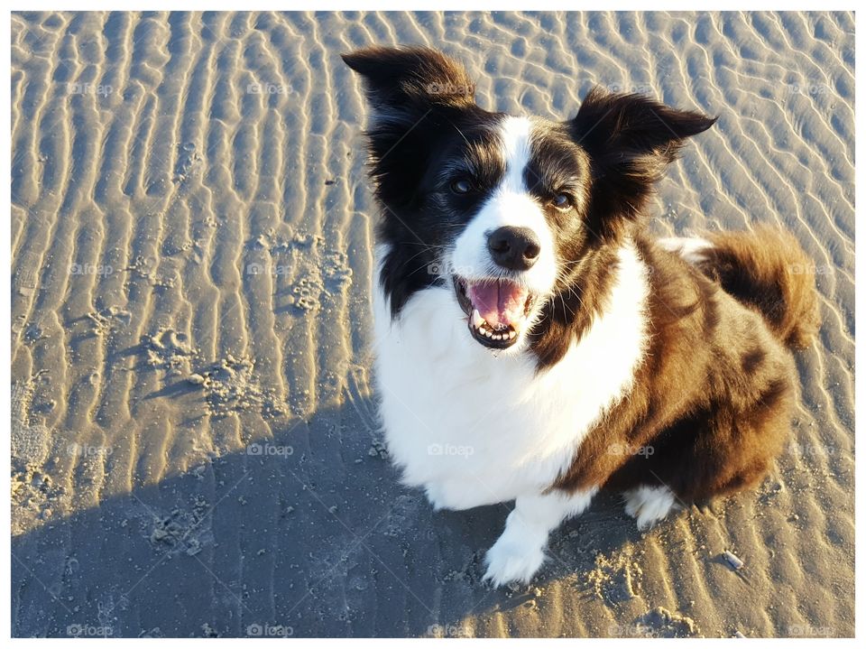 Our sweet girl smiling! She loves the beach!