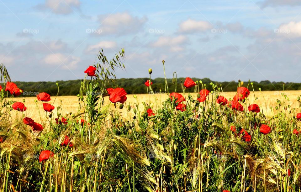 rural charm