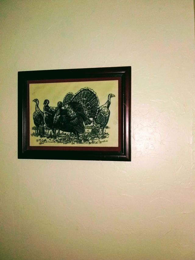 picture