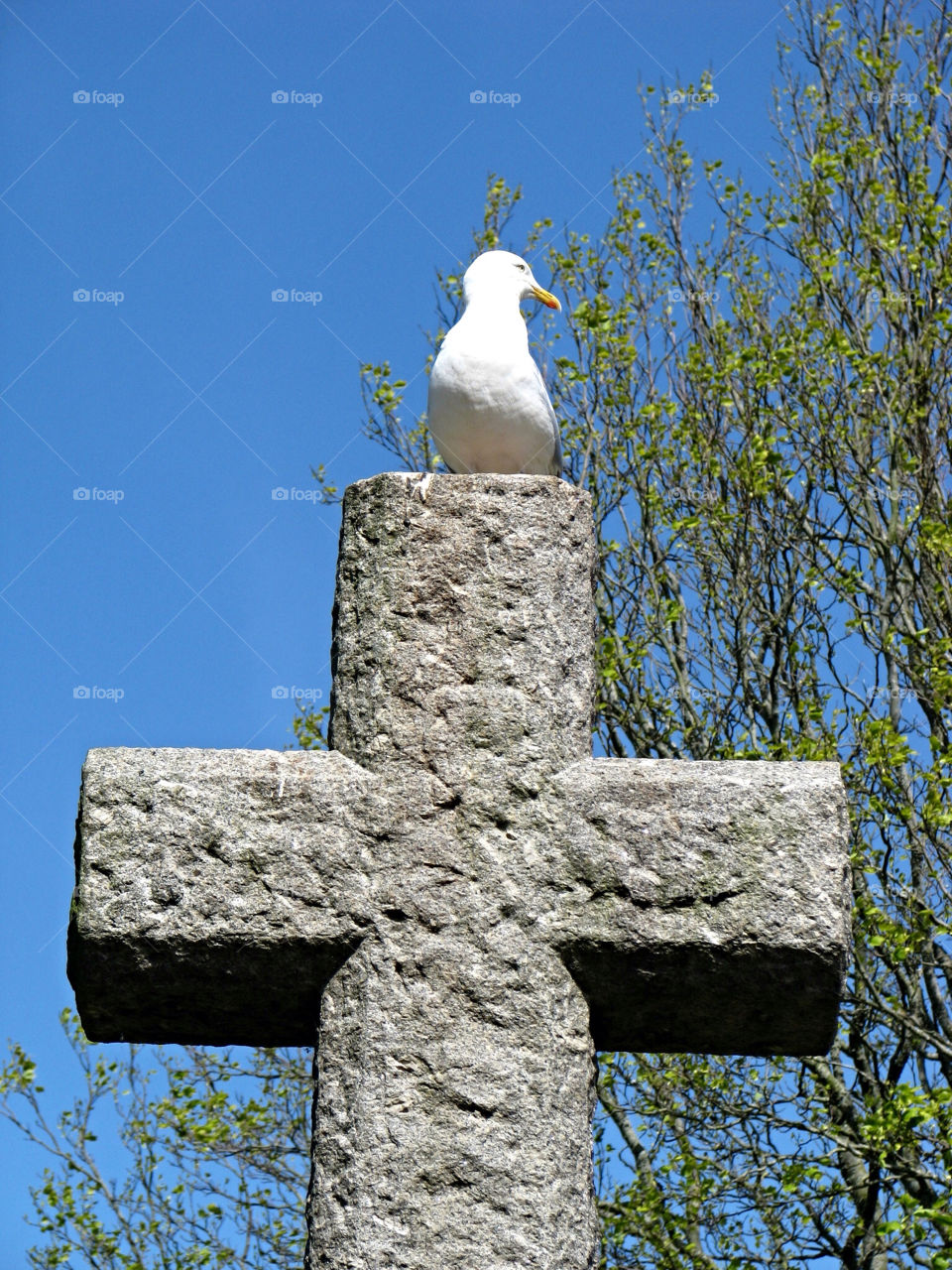 bird stone cross by angeljack. Stone cross in a park in England 