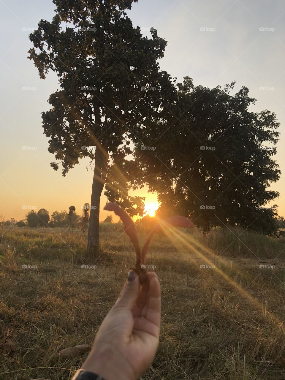 Beautiful sunset at country side 