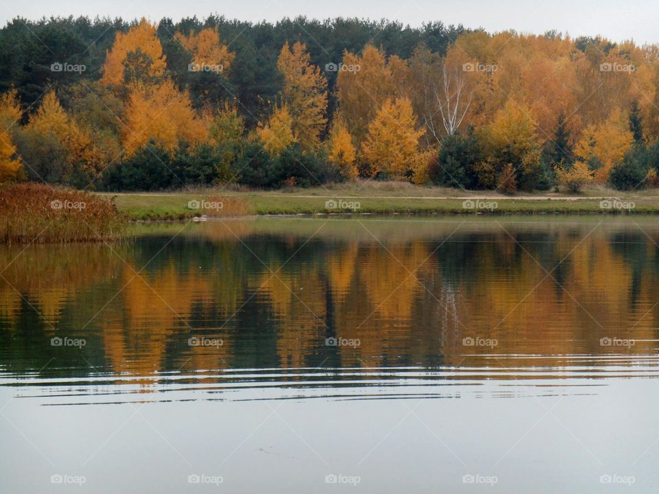 autumn lake