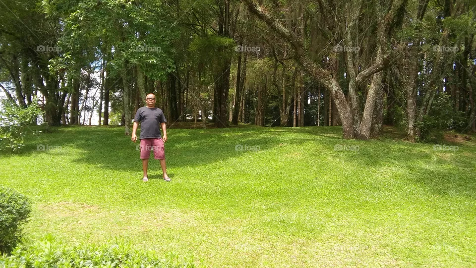 Nature