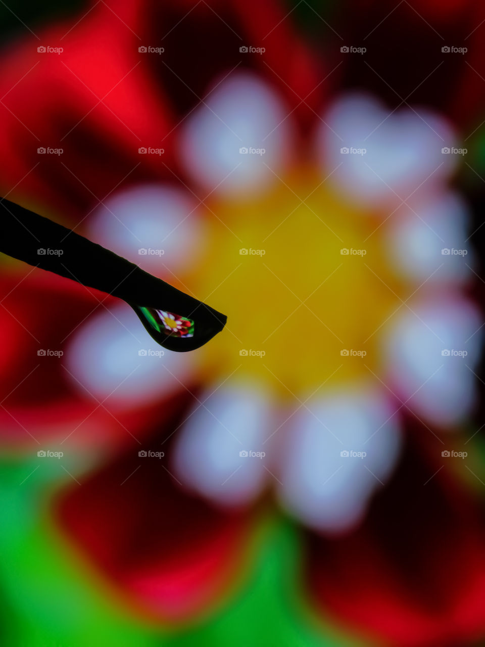 Creative macro photography or closeup of waterdrop having reflection of flower looking beautiful.