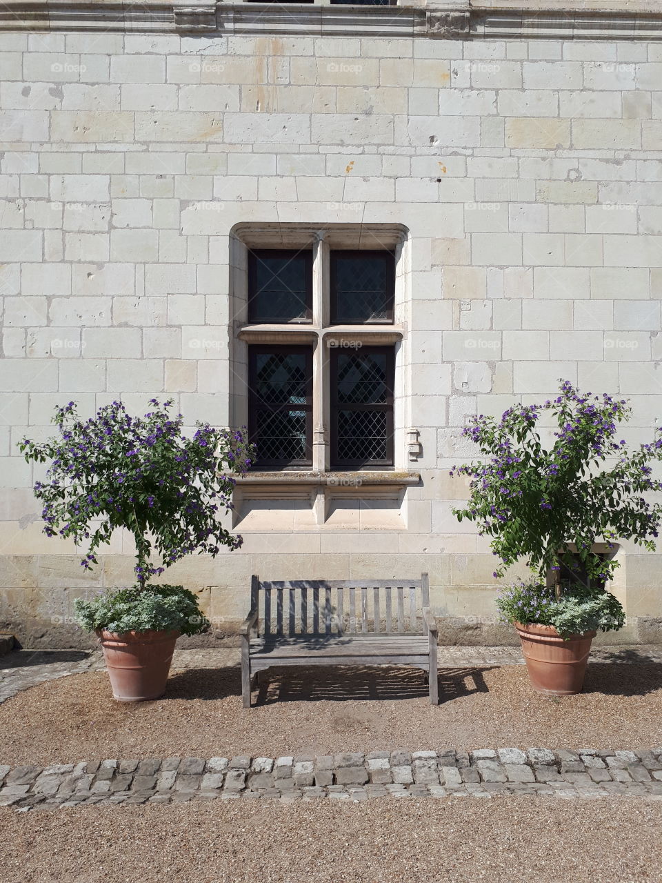 Window and bench with flowers