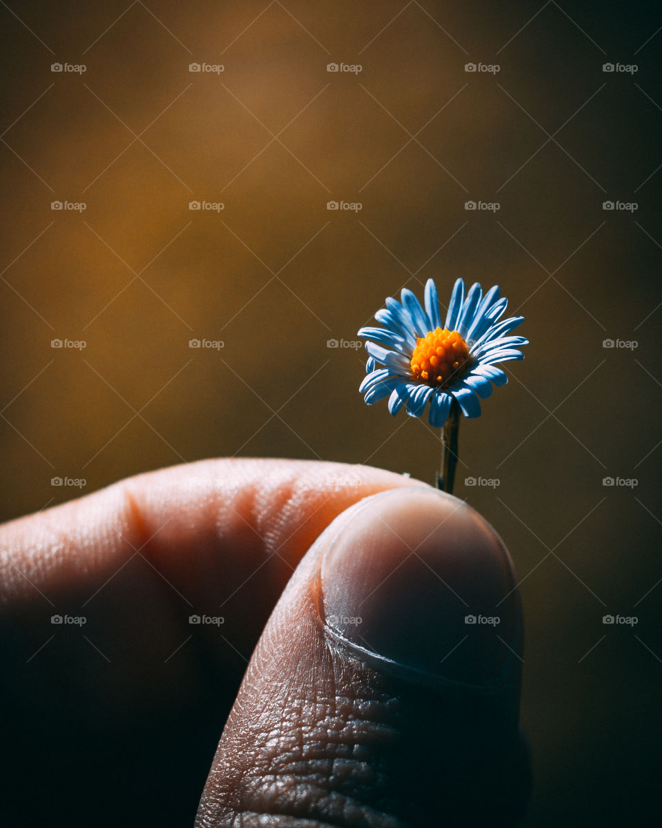 Holding a Flower
