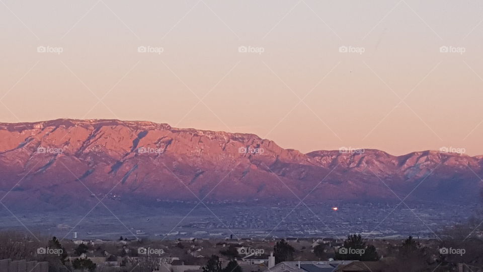 Purple Mountains