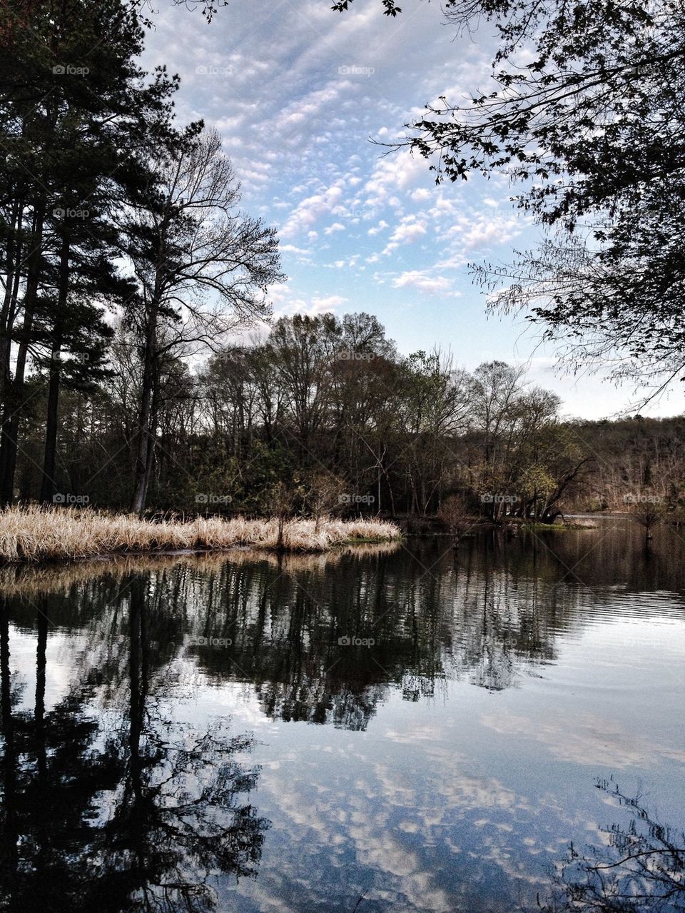 Reflection at Point Park
