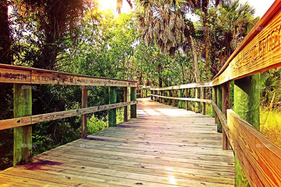 Boardwalks in sunlight. Boardwalks in sunlight