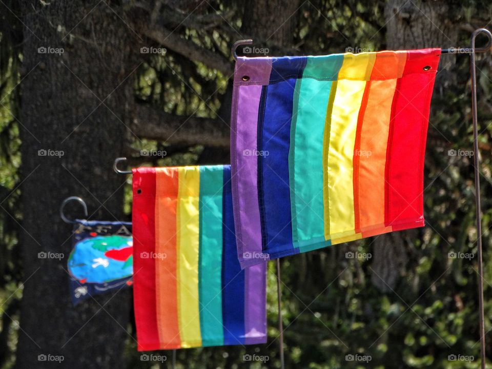 Gay Pride Flags