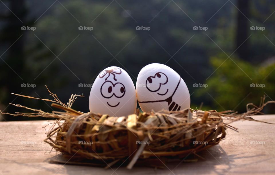 A pair of romancing eggs