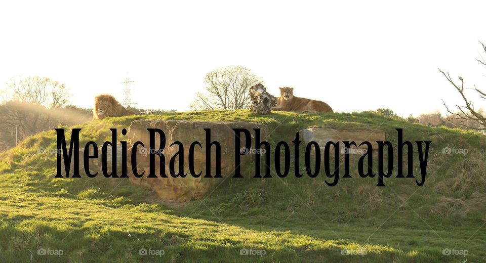 MedicRach Photography 