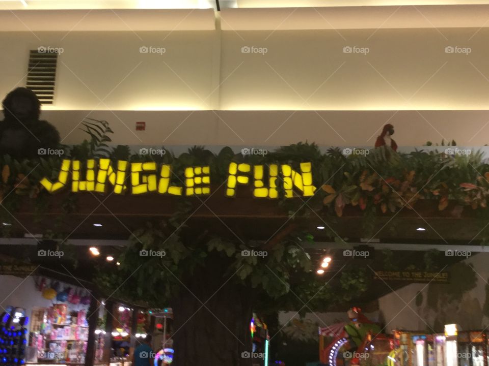 Jungle fun 