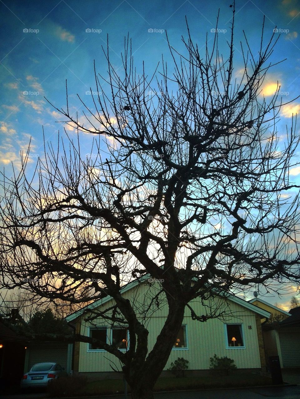 View from my kitchen window