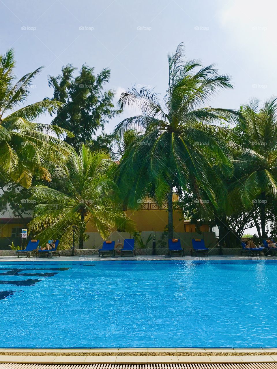 Poolside with palmtrees